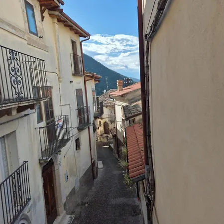 Проживание в семье Civico 41 *