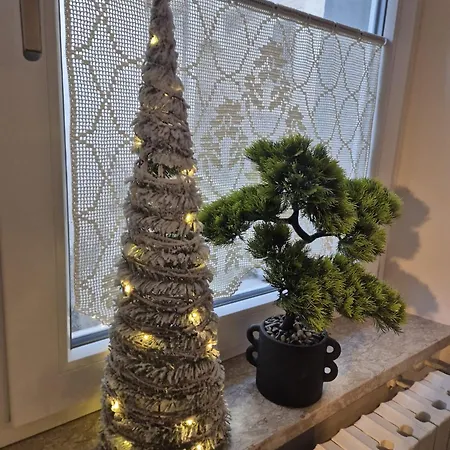 Civico 41 Проживание в семье *