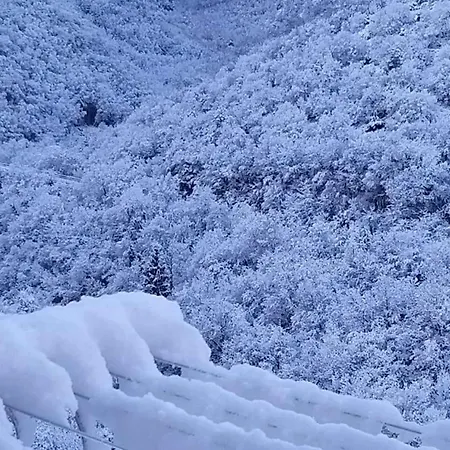 Проживание в семье Civico 41