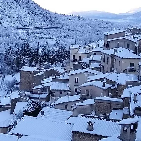 Проживание в семье Civico 41