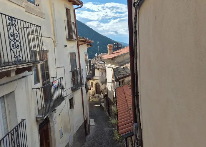 Homestay Civico 41 *