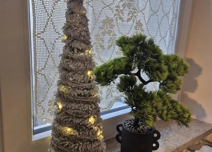 Civico 41 Homestay *